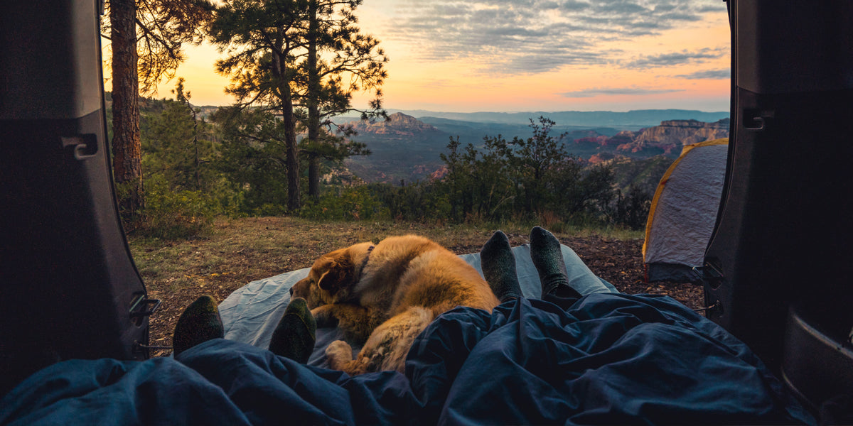 7 tips om je hond een onvergetelijke campervakantie te geven