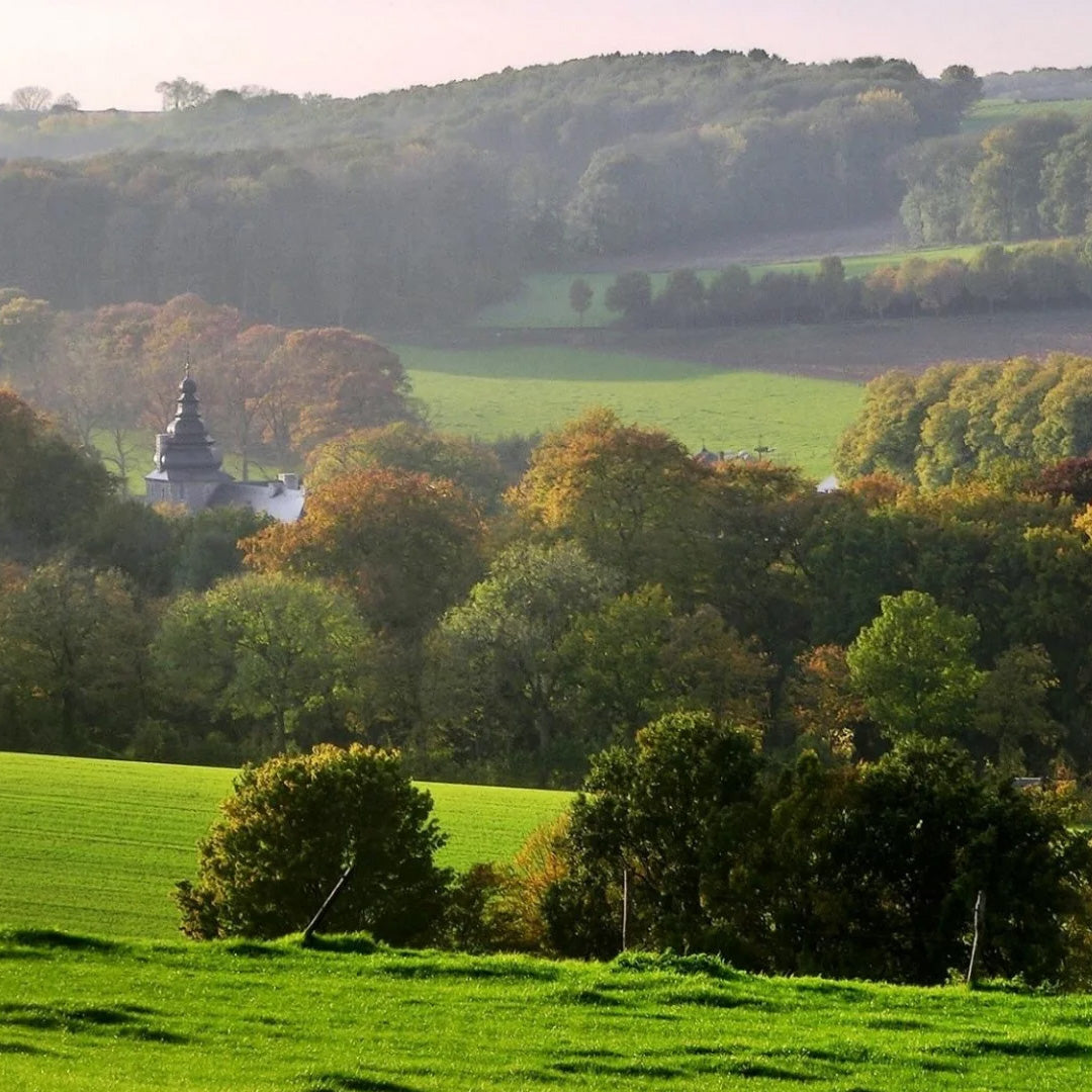 Landgoed Schinvelderhoeve in Zuid-Limburg - Happlify