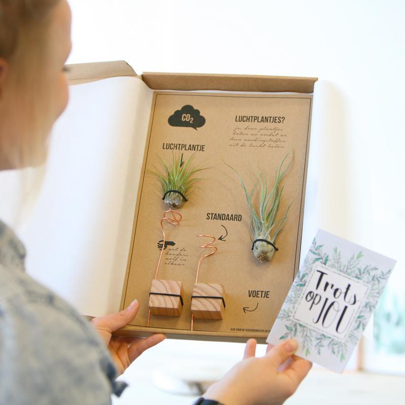 BloomPost | Happlify feel good webshop gids en blog